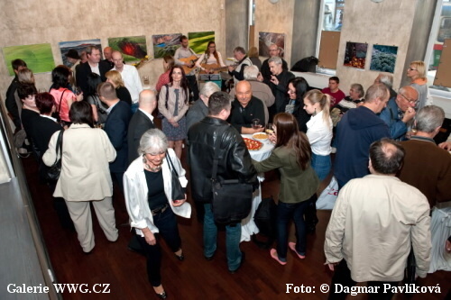 Zahájení výstavy - Stanislav Pokorný - K zemi blíž - foto: &copy; Dagmar Pavlíková
